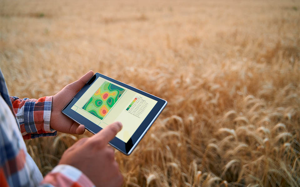 Man holding tablet with a field heat map in a field